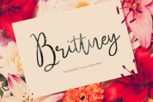 Brittney Font: A Modern Script for Your Brand’s Typography Makeover