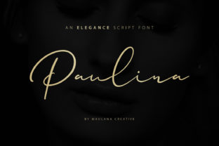 Paulina Font: A Sweet and Cool Handwritten Typeface for Crafters