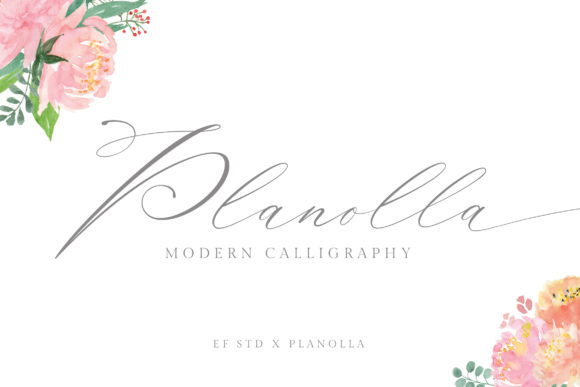 Planolla: A Premium Script Font for Editorial Design
