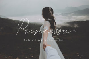 Princessa Font: A Romantic Script for Editorial Elegance